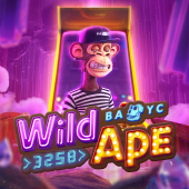 Độ biến động - Wild Bounty Showdown RR 88